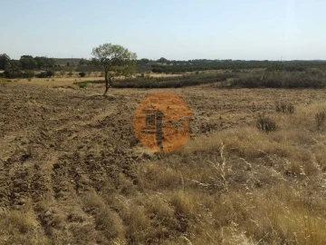 Terreno para Venda em Martim Longo