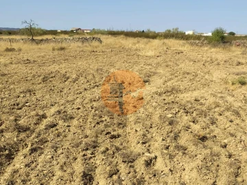 Terreno para Venda em Martim Longo