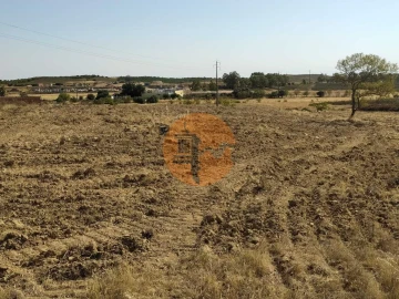 Terreno para Venda em Martim Longo