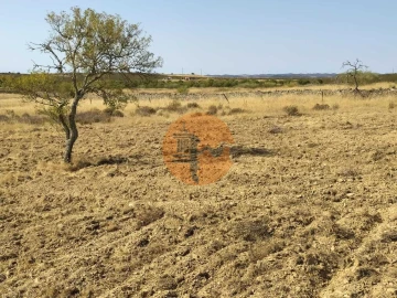 Terreno para Venda em Martim Longo