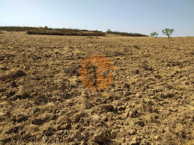 Terreno para Venda em Martim Longo Foto 4
