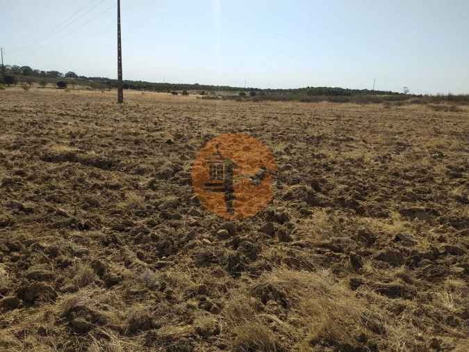Terreno para Venda em Martim Longo Foto 5