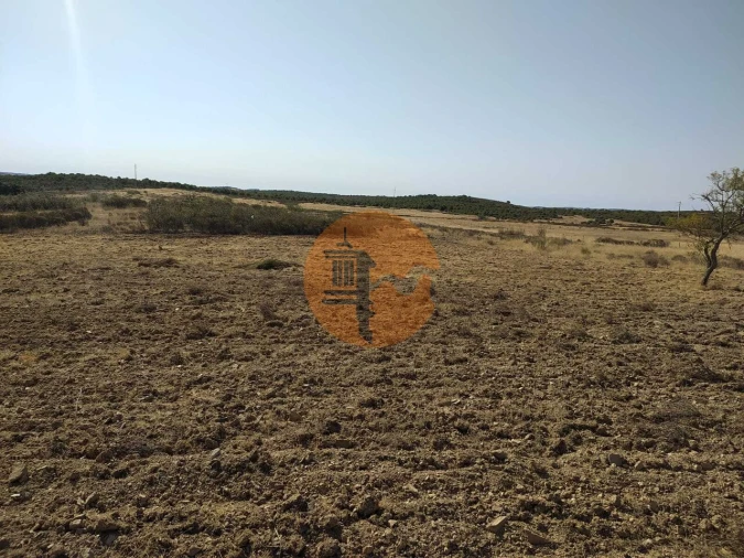 Terreno para Venda em Martim Longo Foto 8