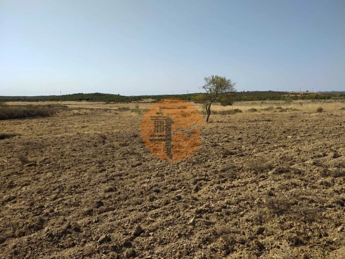 Terreno para Venda em Martim Longo Foto 10