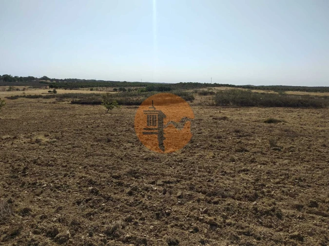 Terreno para Venda em Martim Longo Foto 12