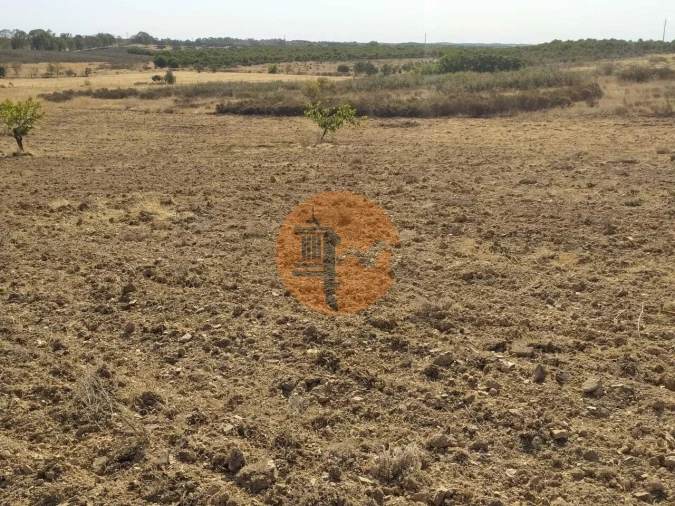 Terreno para Venda em Martim Longo Foto 14