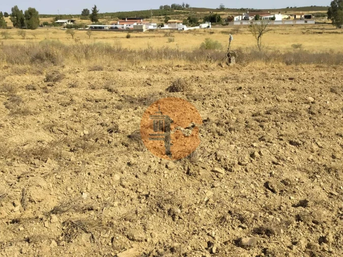 Terreno para Venda em Martim Longo Foto 22