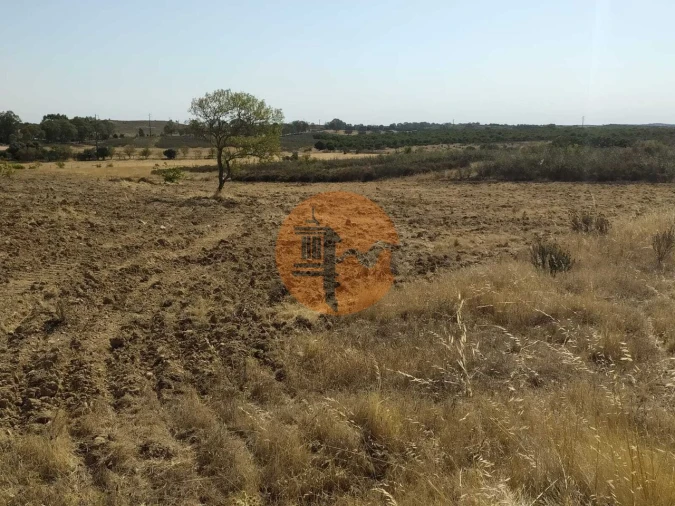 Terreno para Venda em Martim Longo Foto 23