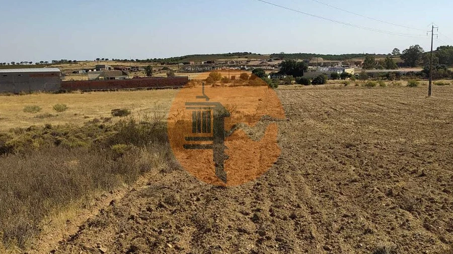 Terreno para Venda em Martim Longo