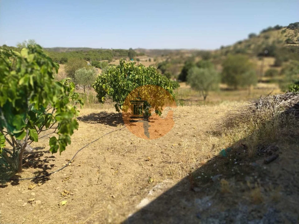 Terreno para Venda em Martim Longo Foto 5