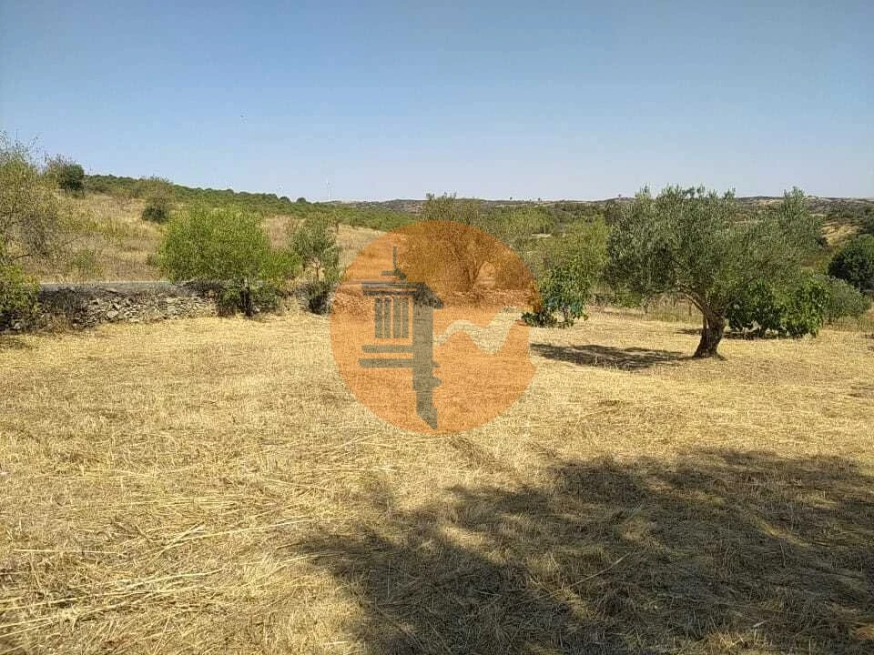 Terreno para Venda em Martim Longo Foto 7