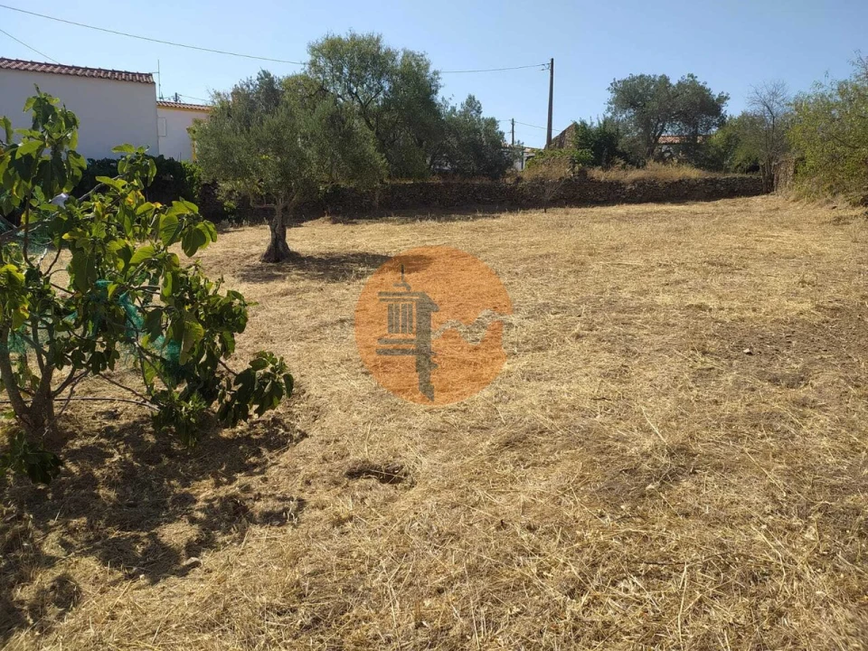 Terreno para Venda em Martim Longo Foto 10