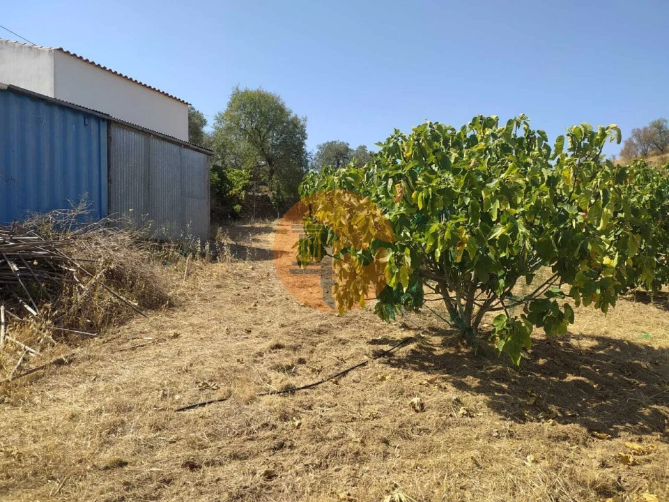 Terreno para Venda em Martim Longo Foto 12