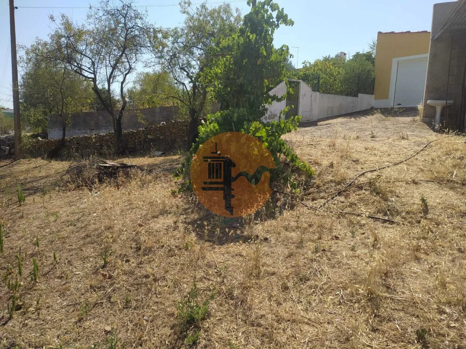 Terreno para Venda em Martim Longo Foto 14
