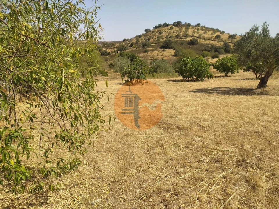 Terreno para Venda em Martim Longo Foto 20