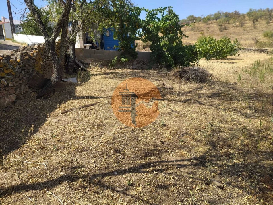 Terreno para Venda em Martim Longo Foto 21