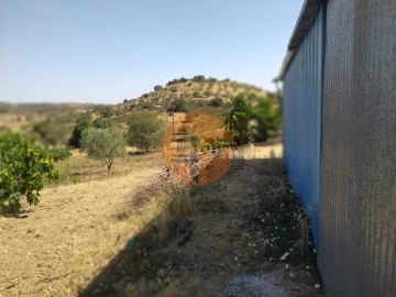 Terreno para Venda em Martim Longo
