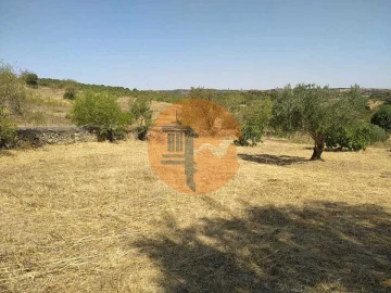 Terreno para Venda em Martim Longo