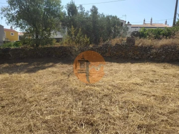 Terreno para Venda em Martim Longo