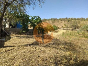 Terreno para Venda em Martim Longo