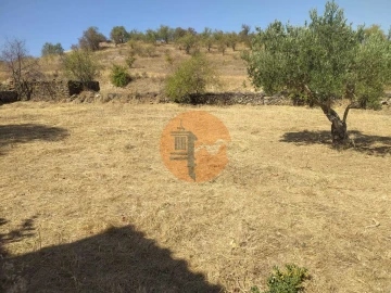 Terreno para Venda em Martim Longo