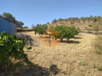 Terreno para Venda em Martim Longo