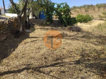 Terreno para Venda em Martim Longo