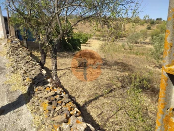 Terreno para Venda em Martim Longo