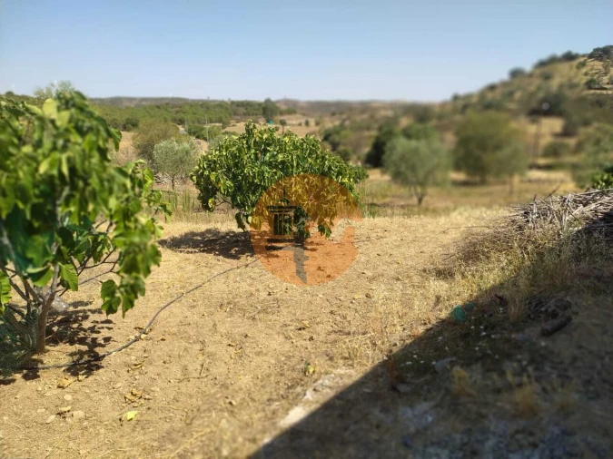 Terreno para Venda em Martim Longo Foto 5