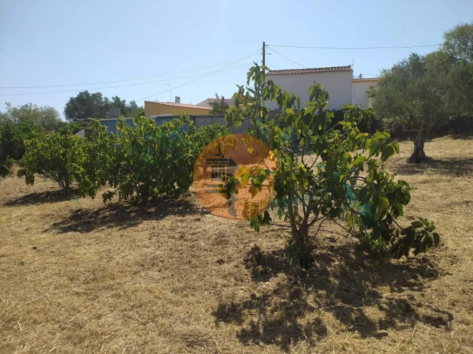 Terreno para Venda em Martim Longo Foto 11