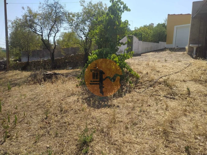 Terreno para Venda em Martim Longo Foto 14