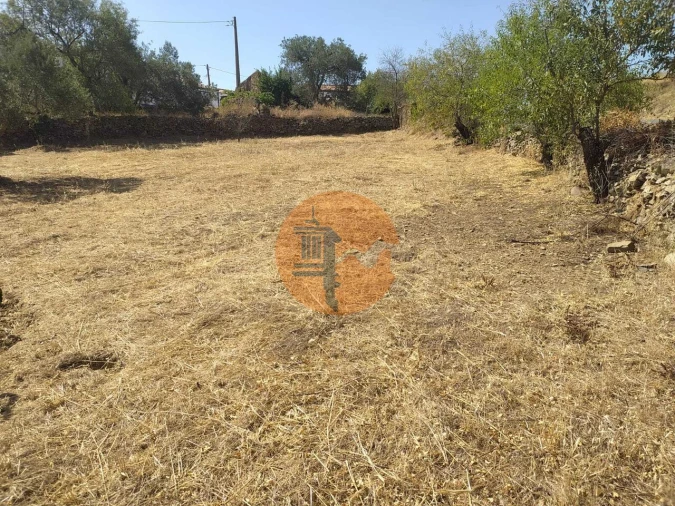 Terreno para Venda em Martim Longo Foto 16