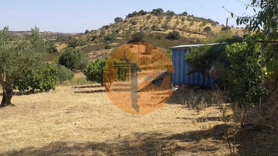 Terreno para Venda em Martim Longo