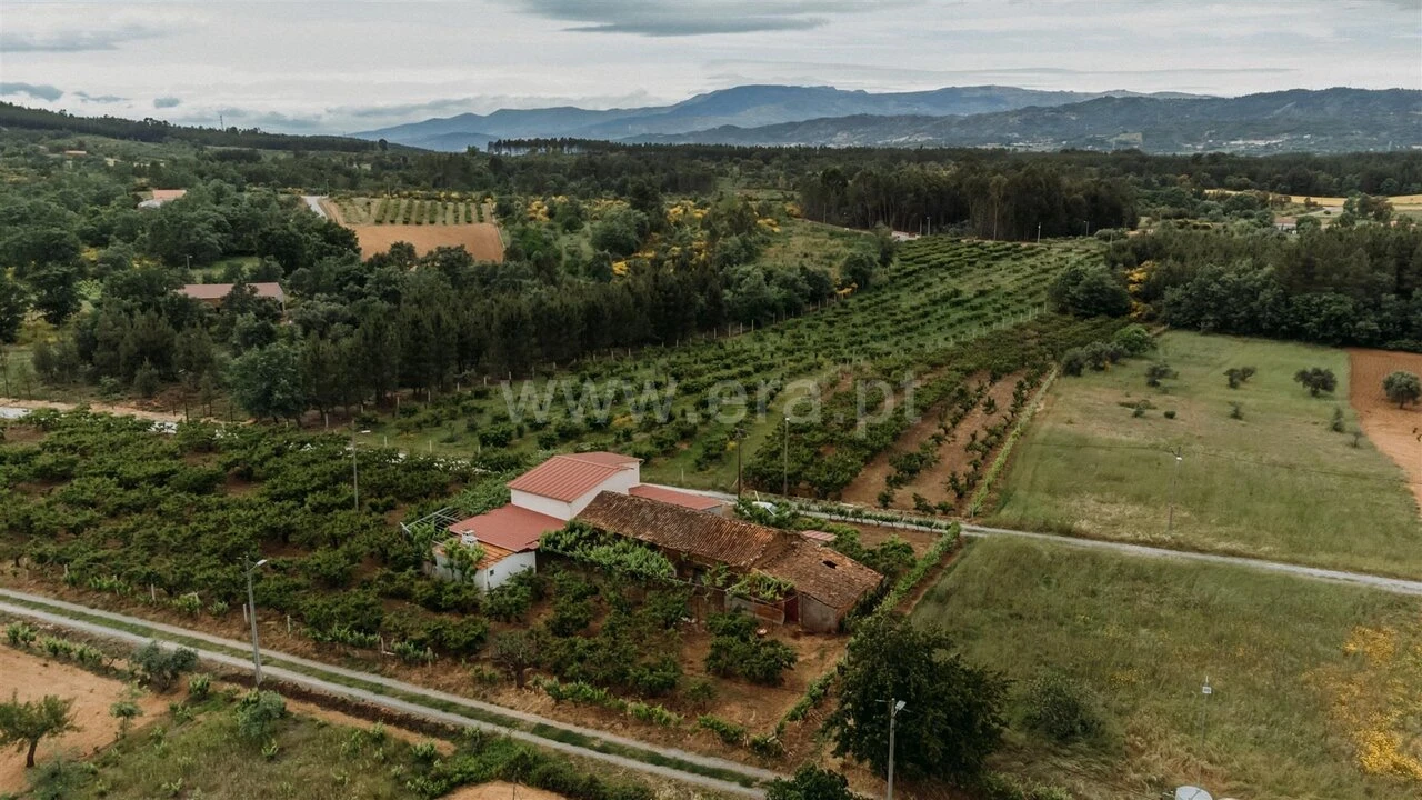 Quinta T2 para Venda em Enxames Foto 1