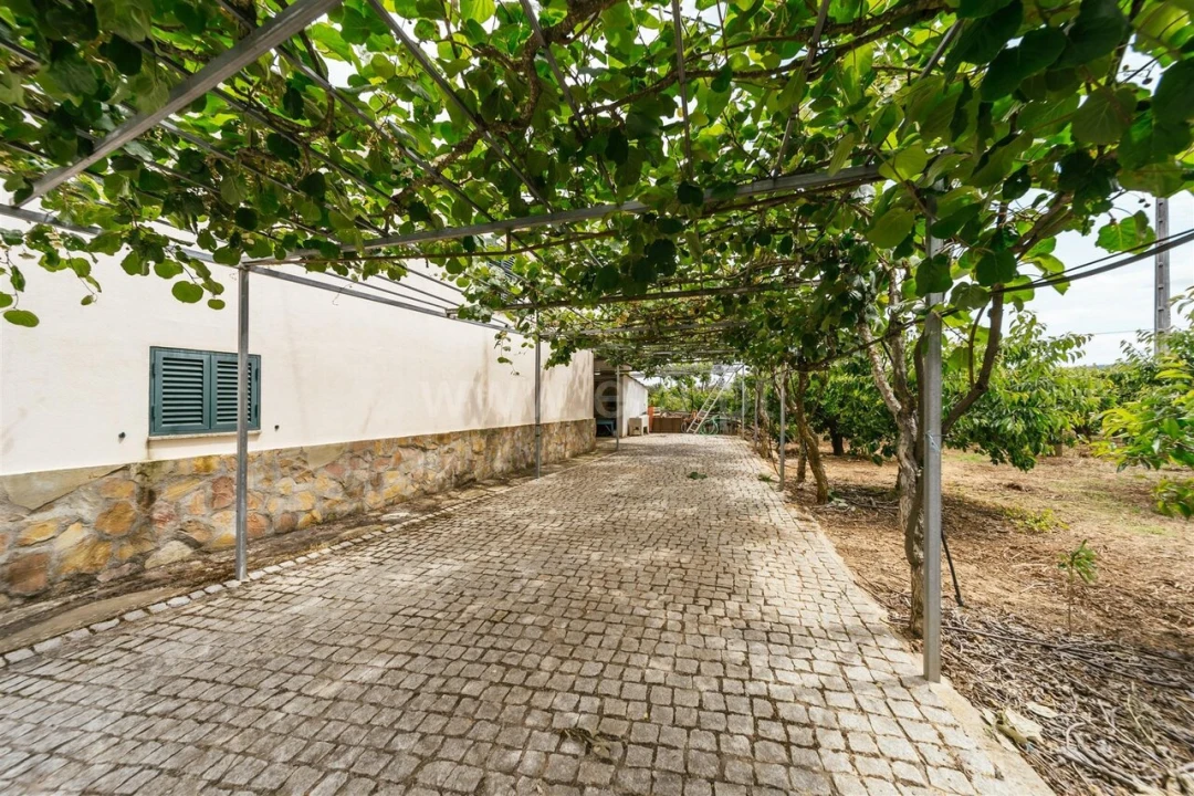 Quinta T2 para Venda em Enxames Foto 11