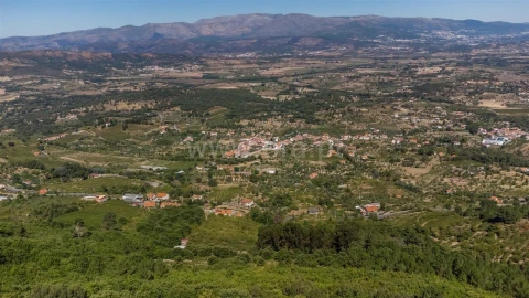 Quinta T0 para Venda em Fundão, Valverde, Donas, A. Joanes, A. Nova Cabo