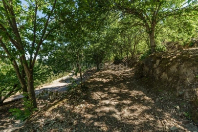 Quinta T0 para Venda em Fundão, Valverde, Donas, A. Joanes, A. Nova Cabo