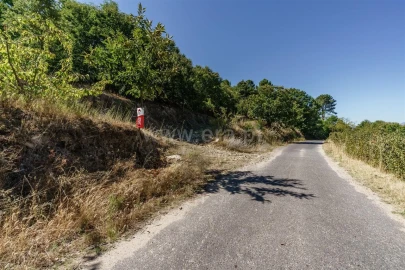 Quinta T0 para Venda em Fundão, Valverde, Donas, A. Joanes, A. Nova Cabo