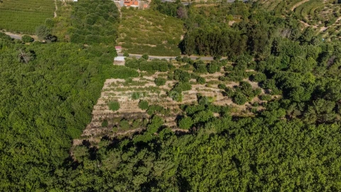 Quinta T0 para Venda em Fundão, Valverde, Donas, A. Joanes, A. Nova Cabo