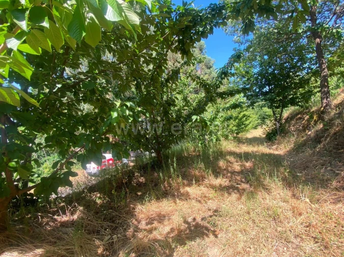 Quinta T0 para Venda em Fundão, Valverde, Donas, A. Joanes, A. Nova Cabo Foto 3
