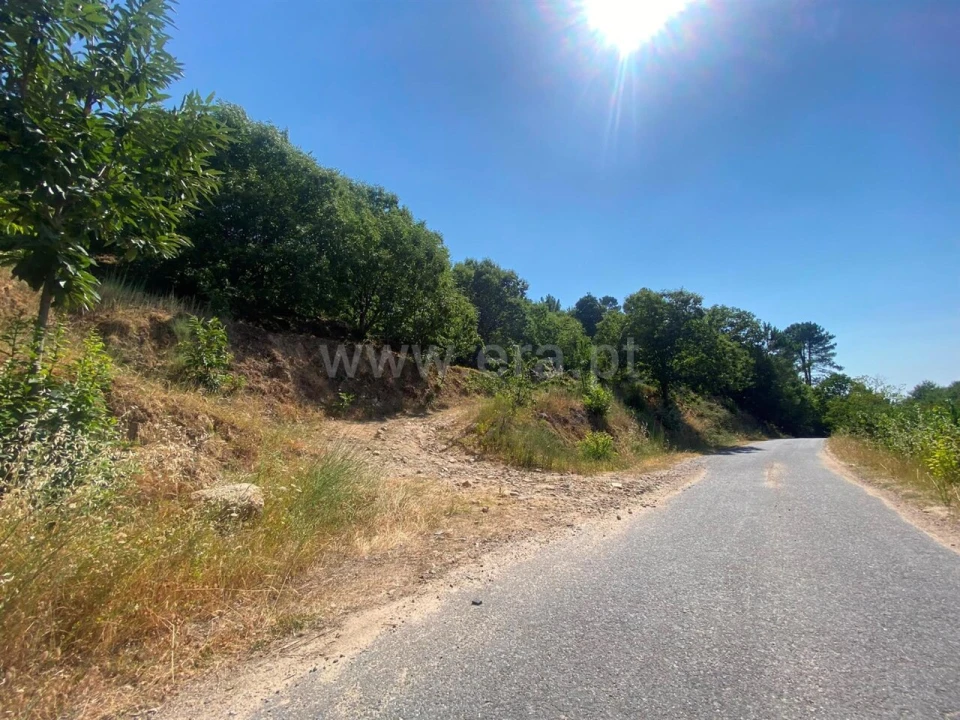 Quinta T0 para Venda em Fundão, Valverde, Donas, A. Joanes, A. Nova Cabo Foto 4
