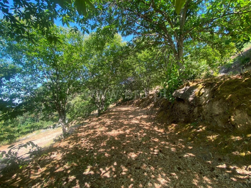 Quinta T0 para Venda em Fundão, Valverde, Donas, A. Joanes, A. Nova Cabo Foto 8