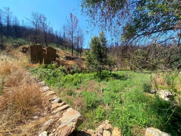 Quinta T0 para Venda em Castelejo