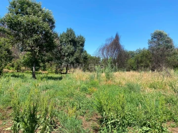 Quinta T0 para Venda em Castelejo