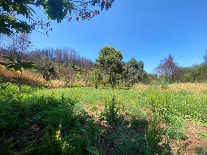 Quinta T0 para Venda em Castelejo Foto 5