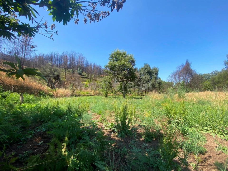 Quinta T0 para Venda em Castelejo Foto 5