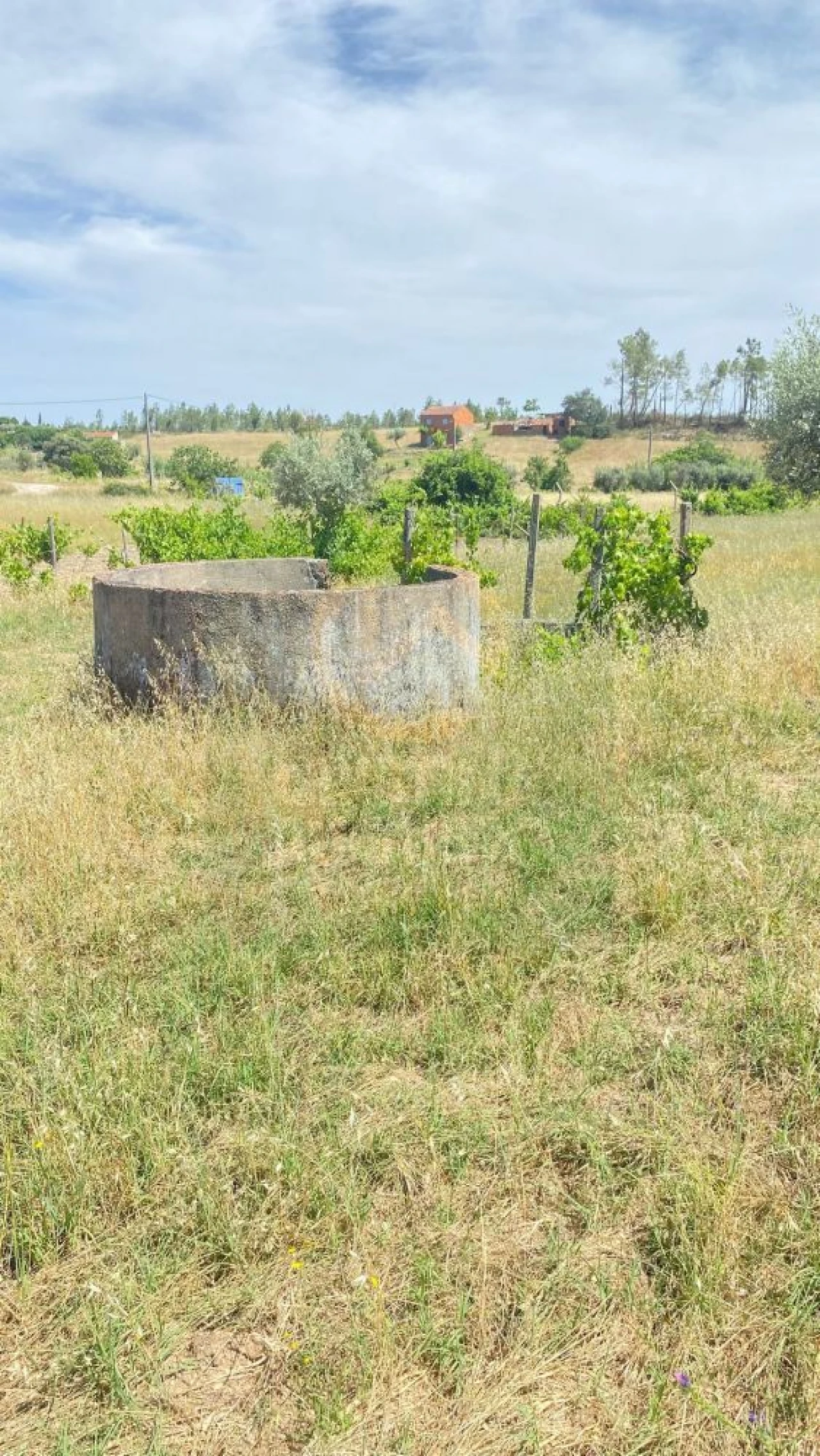Terreno para Venda em Sarzedas Foto 5