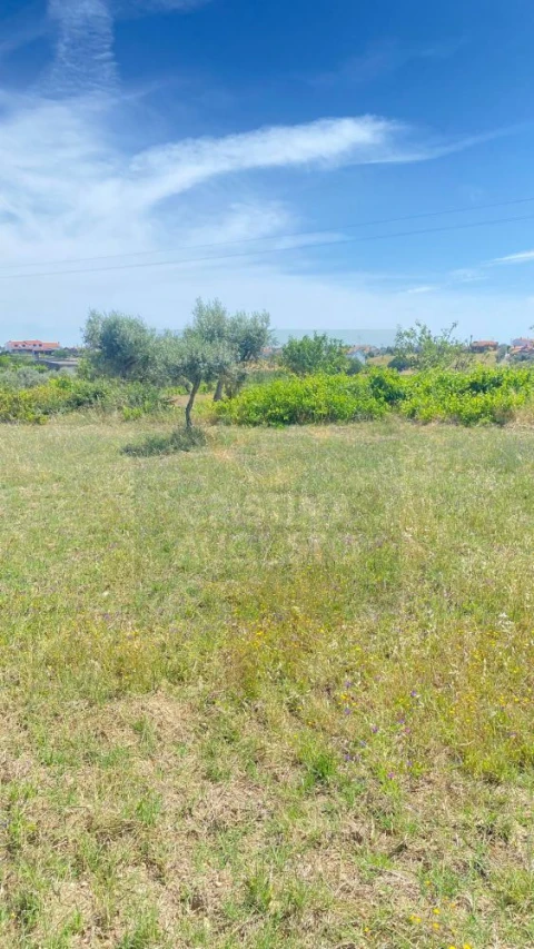 Terreno para Venda em Sarzedas