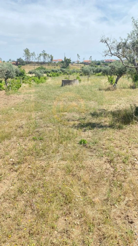 Terreno para Venda em Sarzedas