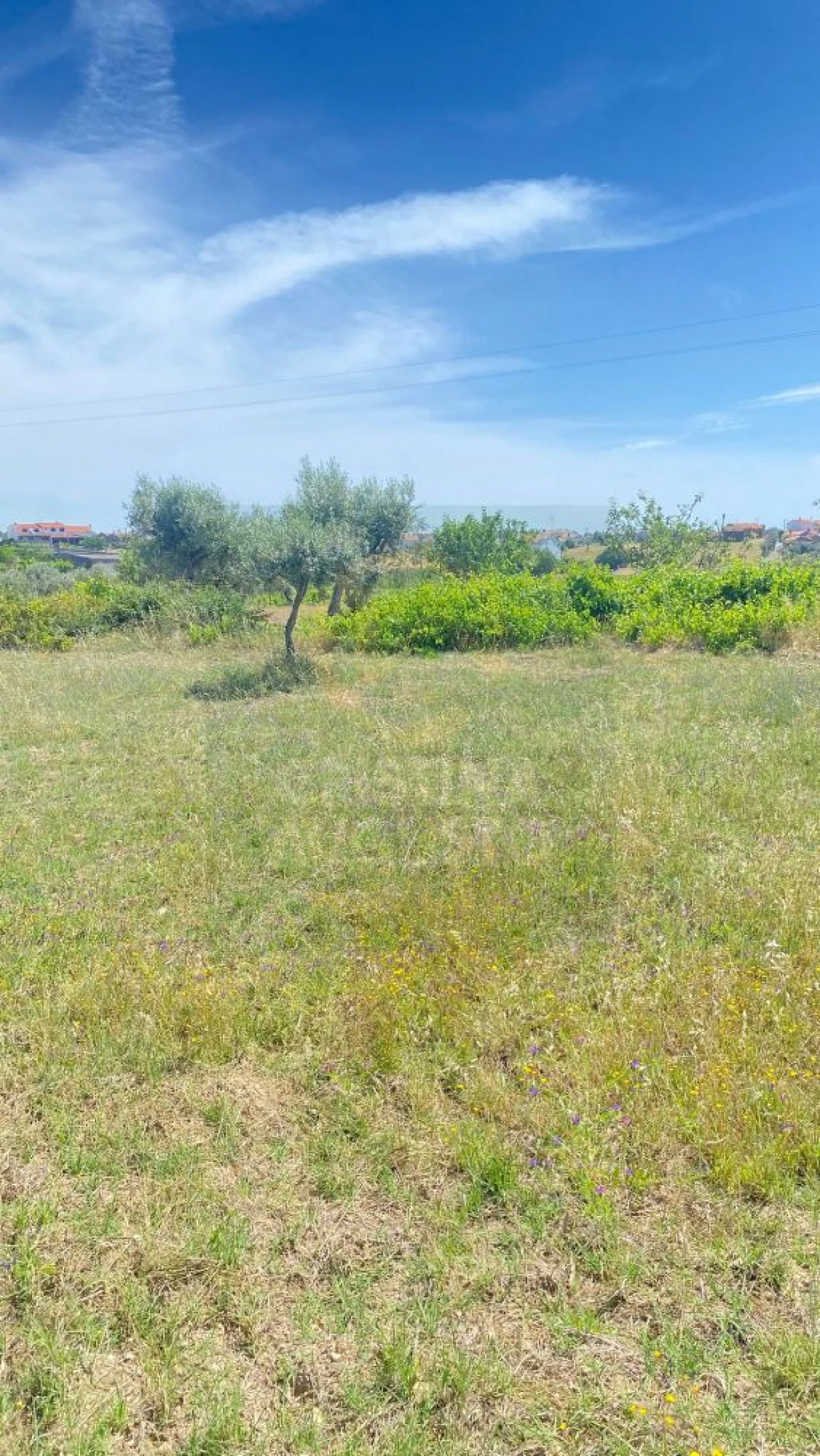 Terreno para Venda em Sarzedas Foto 2